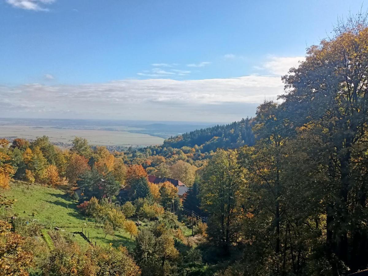 Villa Hubertus Сребрна Гура Экстерьер фото