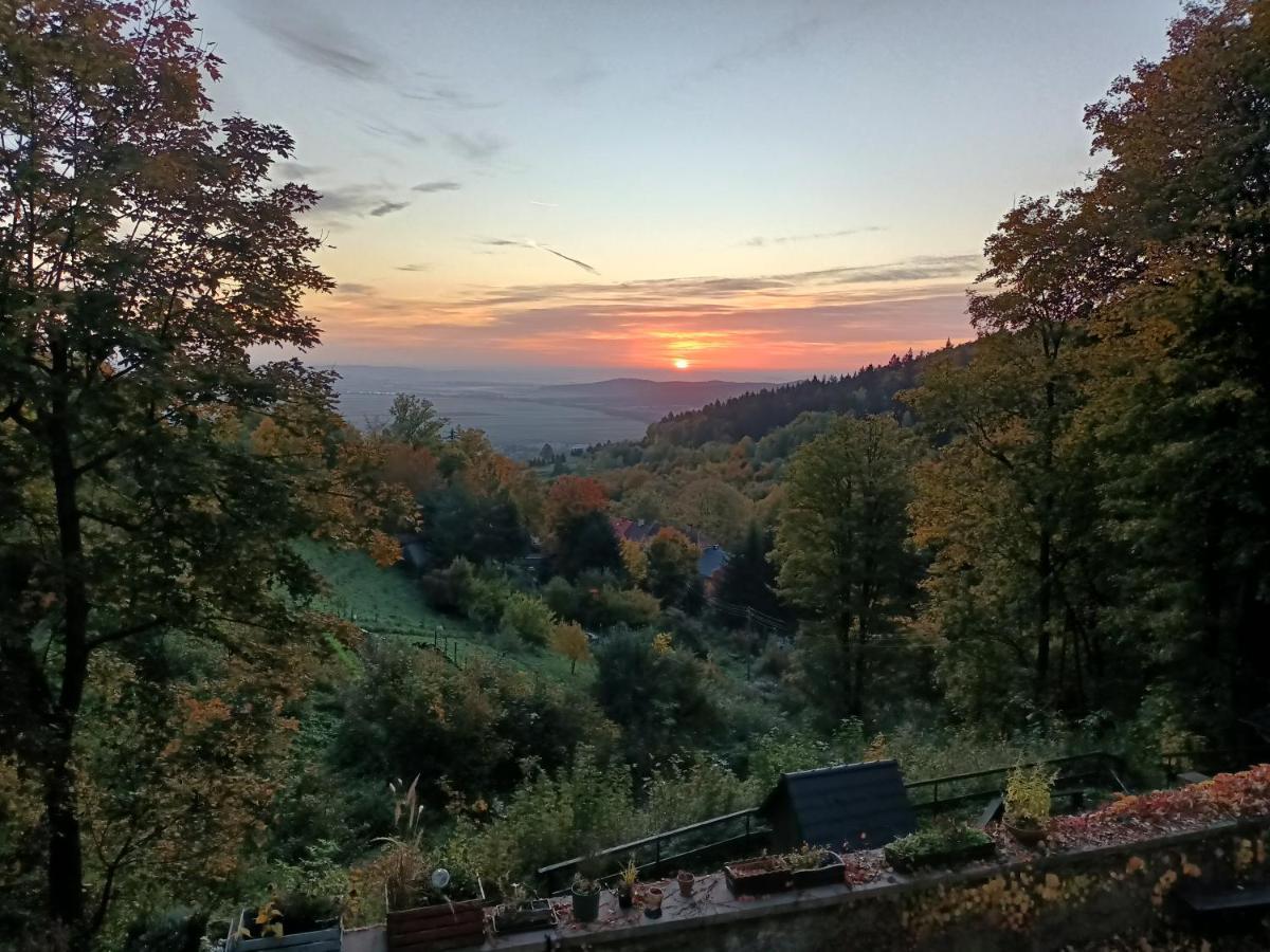 Villa Hubertus Сребрна Гура Экстерьер фото